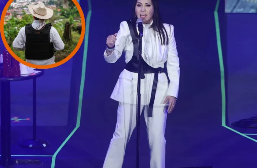 Video Ana Gabriel denuncia la violencia en pleno concierto