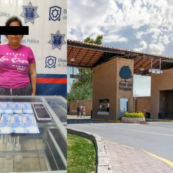 Detienen a empleada domésticsacusada de sustraer 50 mil&hellip;