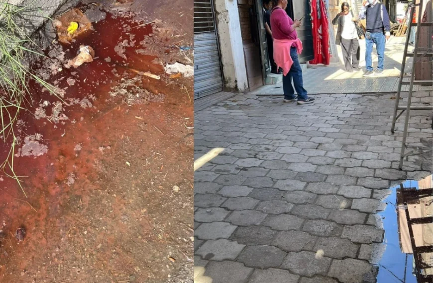 Sangre y olores fétidos activan operativo;&hellip;