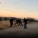 En video | Policía de Hermosillo evita tragedia con arma de fuego