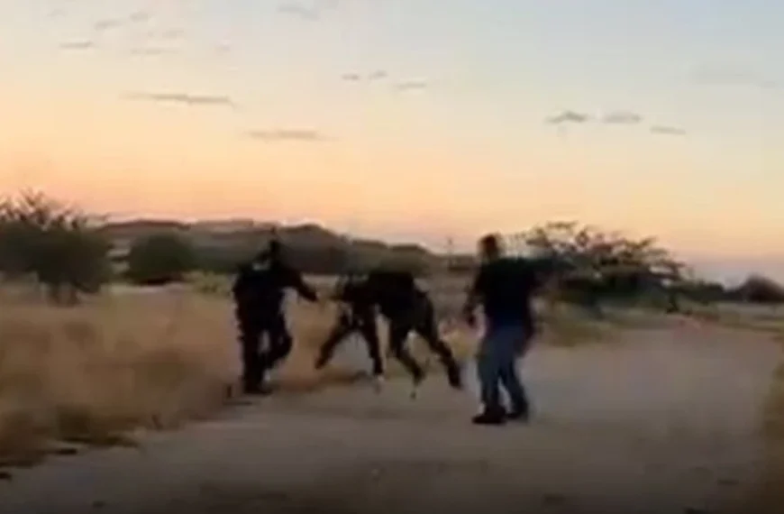 En video | Policía de Hermosillo evita tragedia con arma de fuego