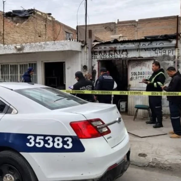 Fétidos olores alertan y llevan al hallazgo de…