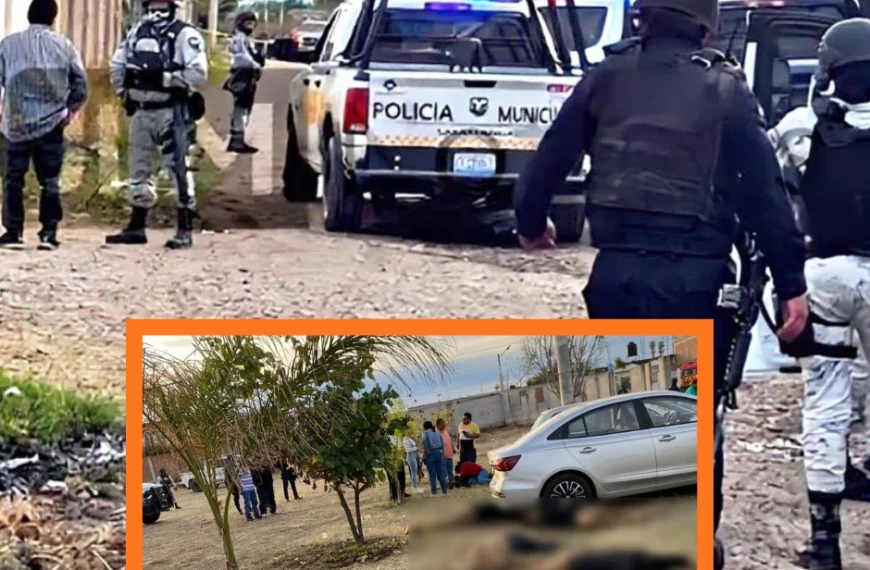 Once muertos y 12 heridos tras tiroteo en campo deportivo de Salamanca