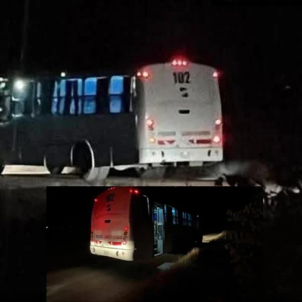 ¿Dónde están los pasajeros? Encuentran autobús vacío en&hellip;