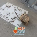 Otro cráneo humano aparece en Gómez Palacio; tenía mensaje relacionado con rituales