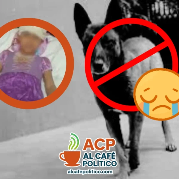 Sacrifican a “Pilo”, el perro que atacó a&hellip;
