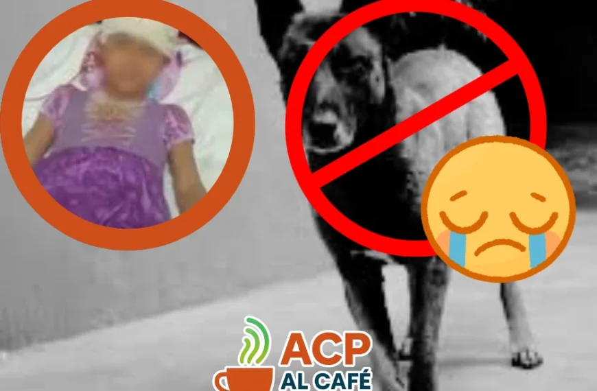 Sacrifican a “Pilo”, el perro que atacó a una niña de 8 años en Frontera, Coahuila