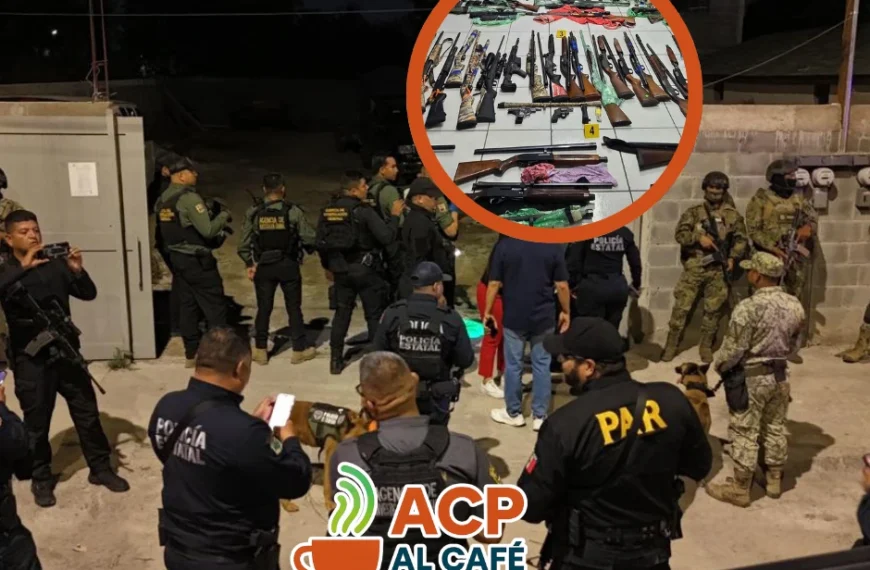 Golpe al tráfico de armas: decomisan 116 en Piedras Negras