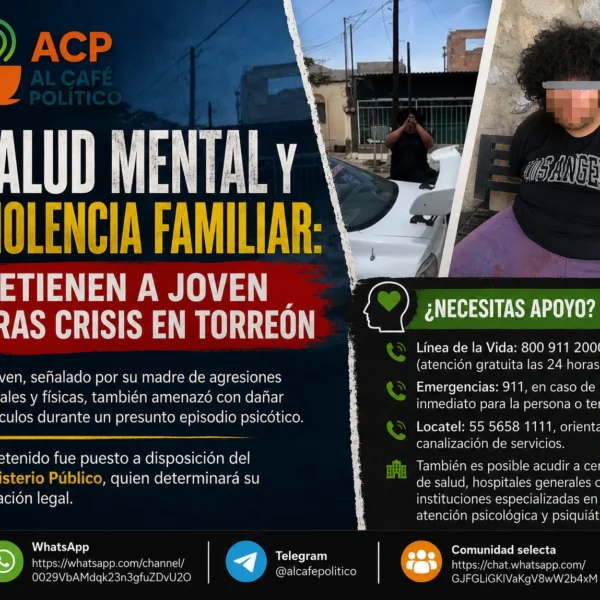 Salud mental y violencia familiar: detienen a joven…