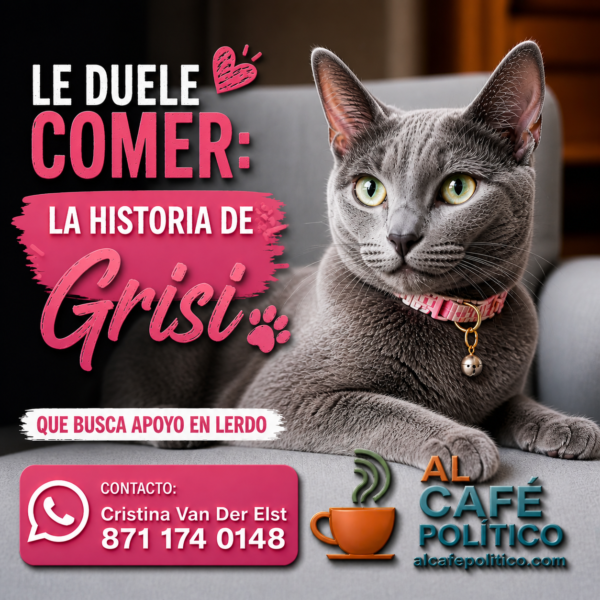 Grisi está sufriendo… y aún podemos cambiar su&hellip;