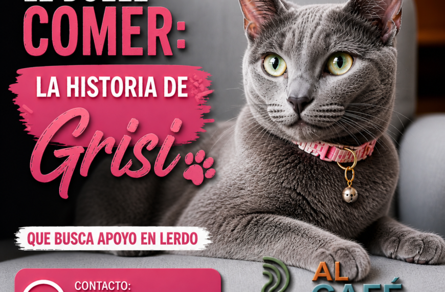Grisi está sufriendo… y aún podemos cambiar su historia