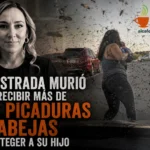 Más de 300 picaduras: magistrada murió protegiendo a su hijo