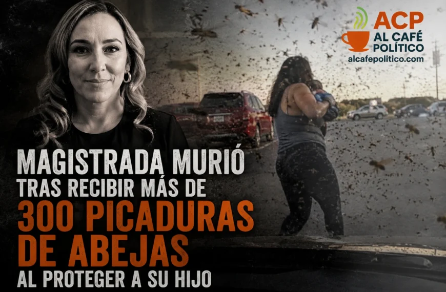 Más de 300 picaduras: magistrada murió protegiendo a su hijo