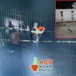 Ni a los muertos respetan:empleados arman fiesta en panteón municipal Torreón