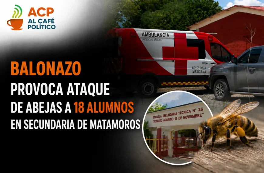 Ataque de abejas deja 18 alumnos lesionados en secundaria de Matamoros