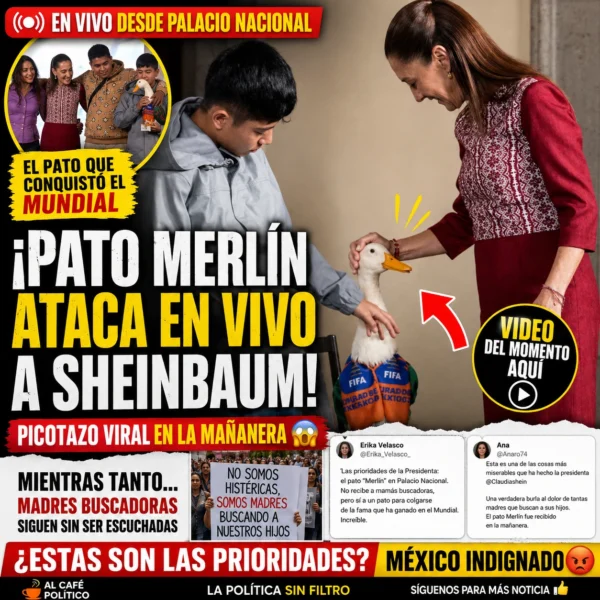 Pato Merlín ataca en vivo a Sheinbaum durante&hellip;
