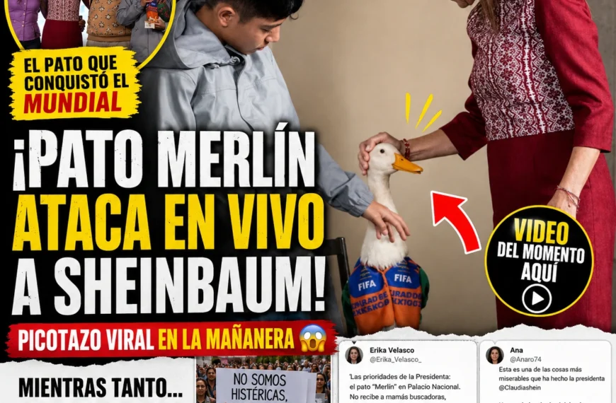 Pato Merlín ataca en vivo a Sheinbaum durante la mañanera