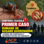 Confirma Coahuila primer caso humano de gusano barrenador¿cómo se contagia y quiénes están en riesgo?