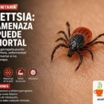 Preocupa rickettsia en La Laguna; dos menores fallecen en Gómez Palacio