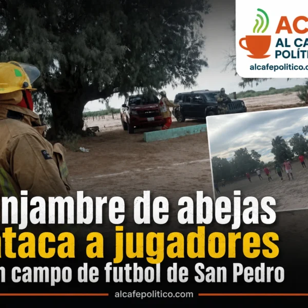 Enjambre de abejas ataca ajugadores en campo de&hellip;