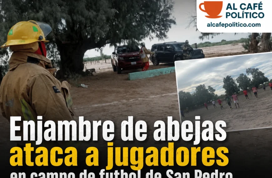 Enjambre de abejas ataca ajugadores en campo de futbol de San Pedro