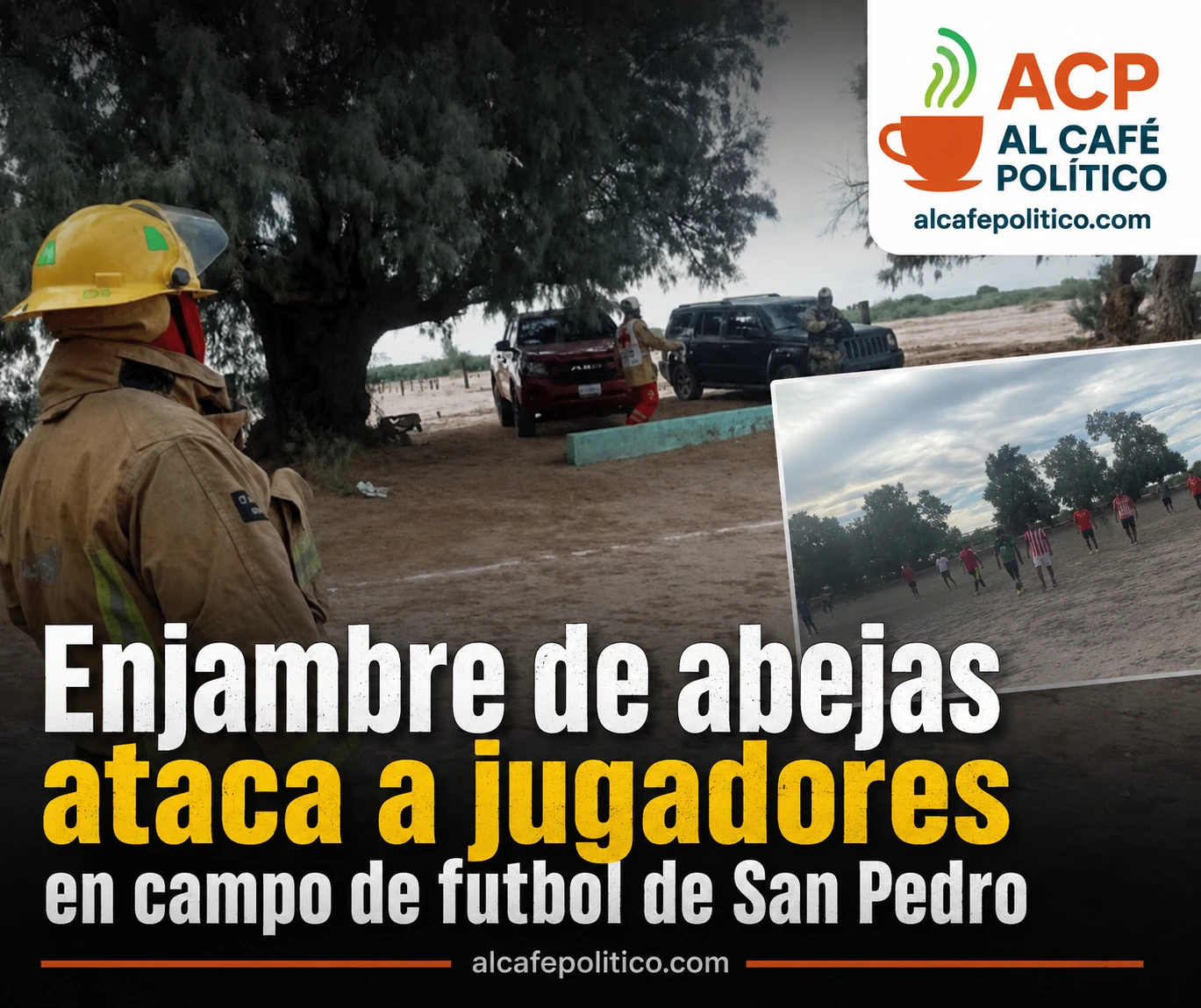 Enjambre de abejas ataca ajugadores en campo de&hellip;