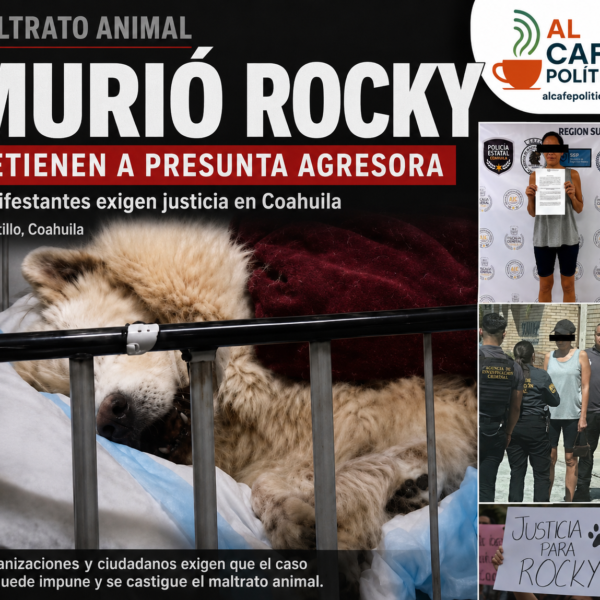 Murió Rocky; agresora podría alcanzar hasta ocho años&hellip;