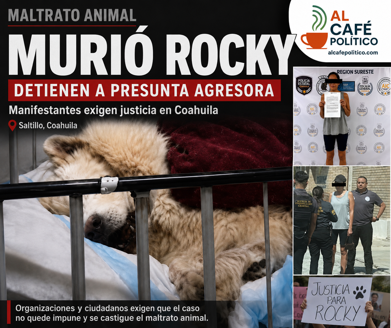 Murió Rocky; agresora podría alcanzar hasta ocho años&hellip;