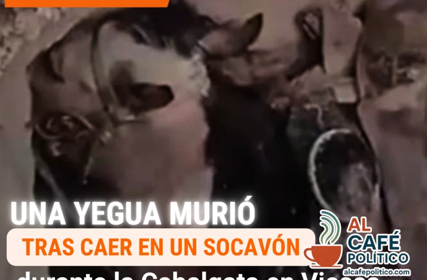Muere una yegua tras caer en socavón durante cabalgata cayeron dos&nbsp; equipos en Viesca
