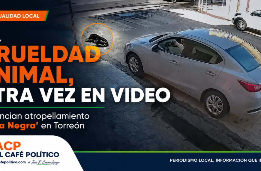 La crueldad animal, otra vez en video: denuncian atropellamiento de “La Negra” en Torreón
