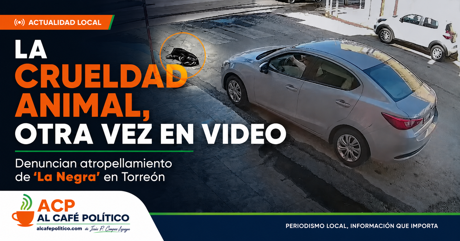 La crueldad animal, otra vez en video: denuncian&hellip;