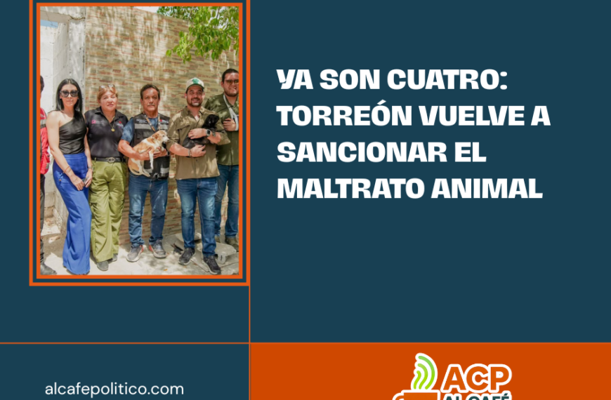 Torreón suma cuarta multa por maltrato animal; rescatan a dos perritas