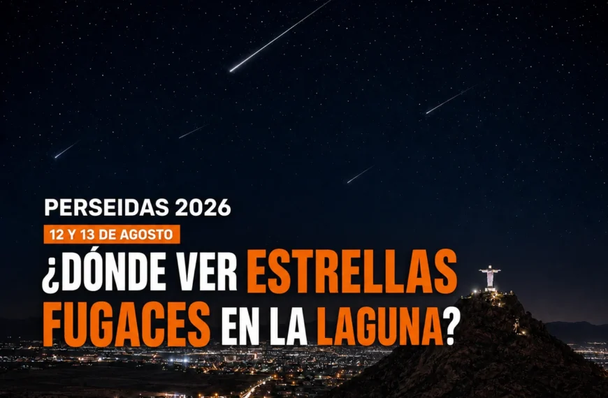 Eclipse solar y estrellas fugaces 2026: lo que&hellip;