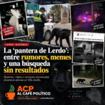 Reportan una presunta pantera en Lerdo; autoridades no logran localizarla