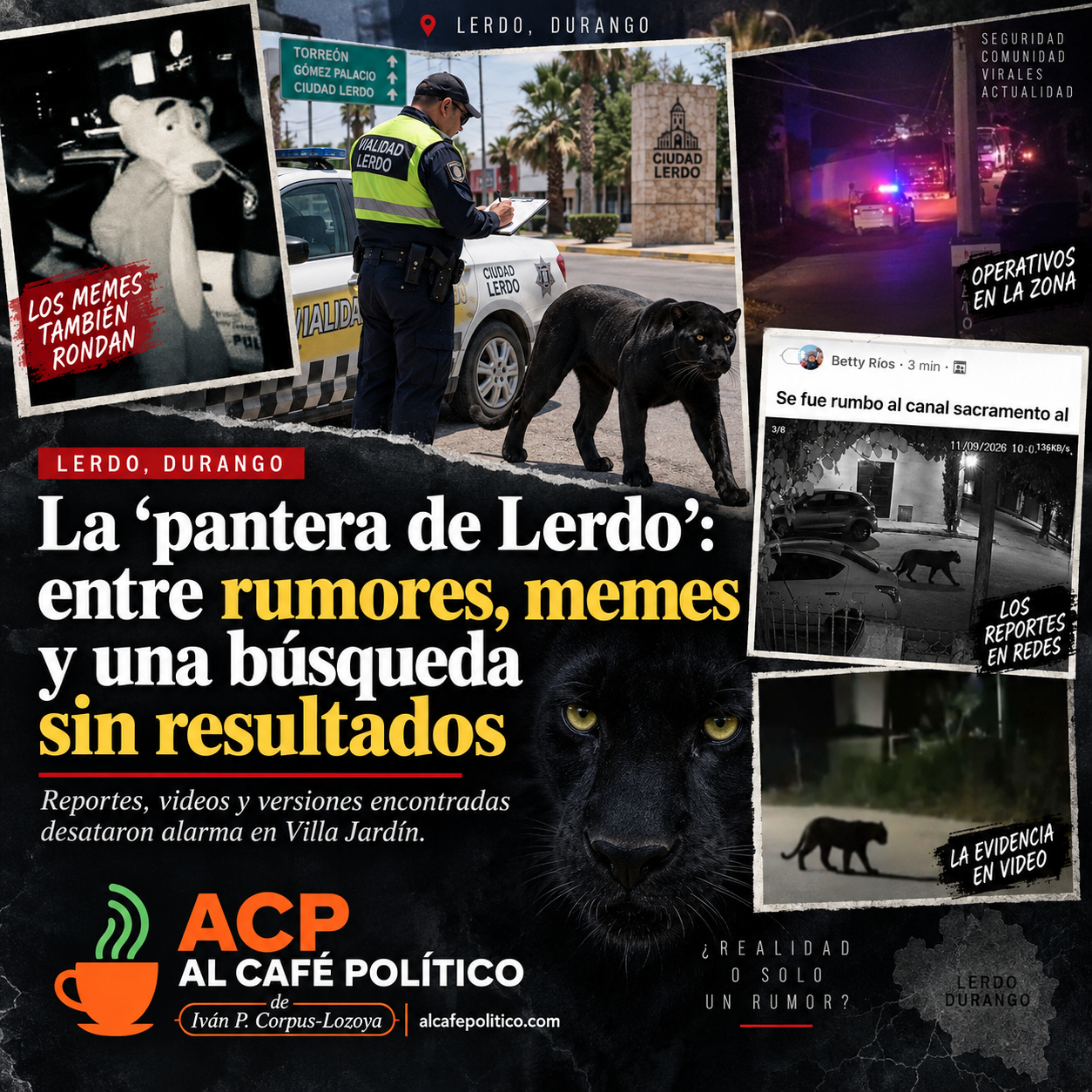 Reportan una presunta pantera en Lerdo; autoridades no logran localizarla